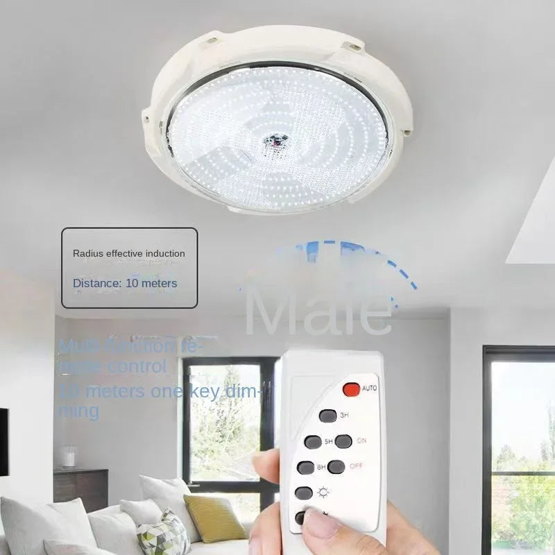 Solar lights Indoor Home Top Ceiling House Outdoor Garden pandent light Panel Lamp Fixture For Corridor Garden Living Room