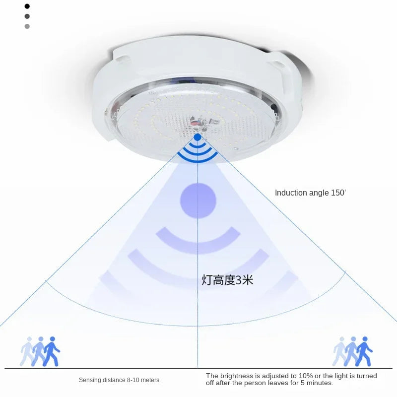 Solar lights Indoor Home Top Ceiling House Outdoor Garden pandent light Panel Lamp Fixture For Corridor Garden Living Room